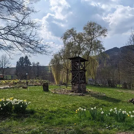 Am Park