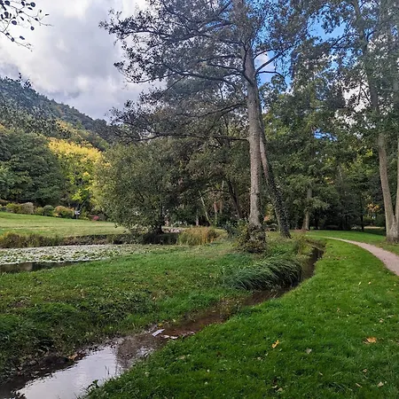 Am Park Klingenmünster