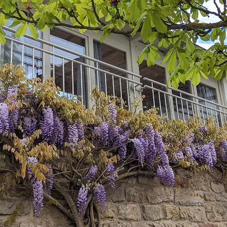 Am Park Semesterbostad Klingenmünster