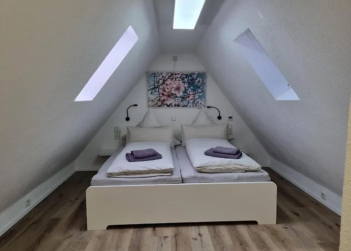 Casa de Férias Am Park