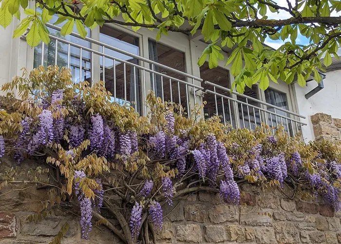 Am Park Casa de Férias Klingenmünster